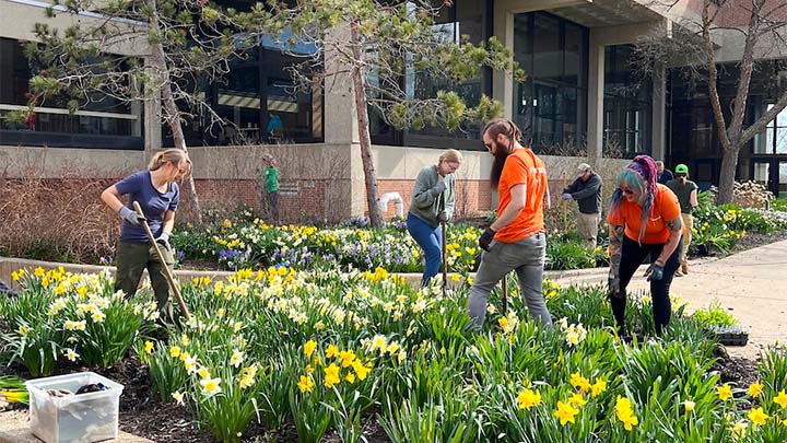 Volunteers plant flowers during Parkside Day