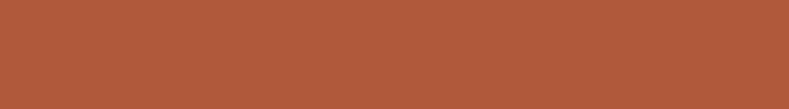 Rust colored bar