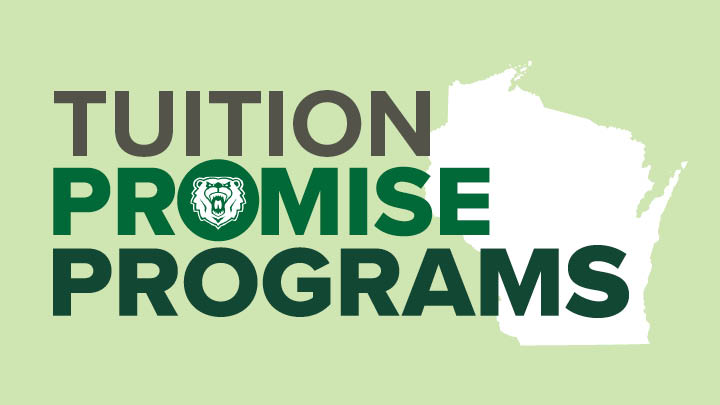 Promise programs button