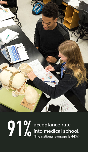 Pre Health grads have an 91% placement rate in medical school - more than twice the national average of 44% Imagie of students working in an anatomy lab